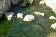 2005-07-15-Eyach-Kanal-006_bea-H1500